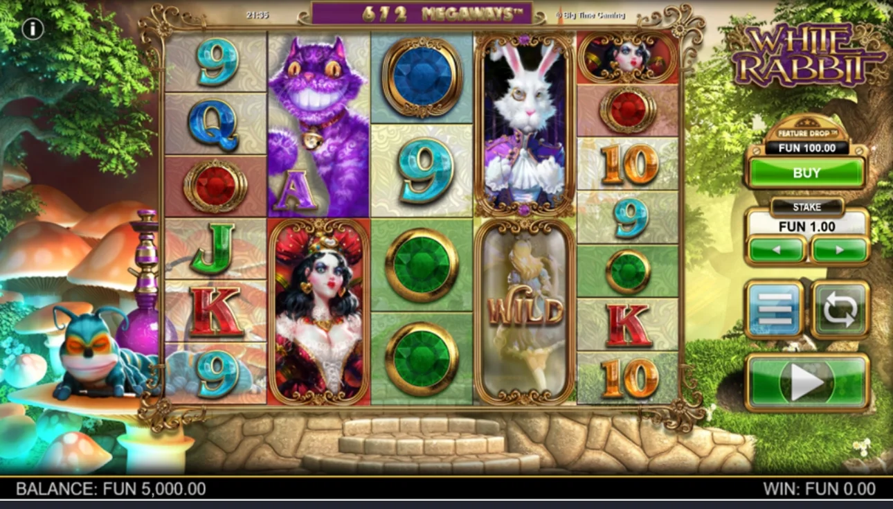 white rabbit norge med hoy RTP 97 %